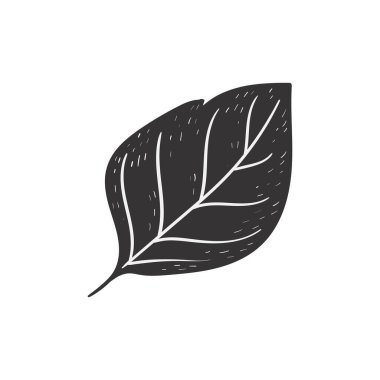 El çizimi sonbahar karalaması renksiz çizimler seti. Vektör nesneleri. Poster, arkaplan veya kart çizimleri.