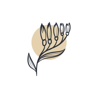 Doodle Çiçekleri Simgesi. El Çizimi İllüstrasyonu. Soyut çiçek, botanik dekor. 