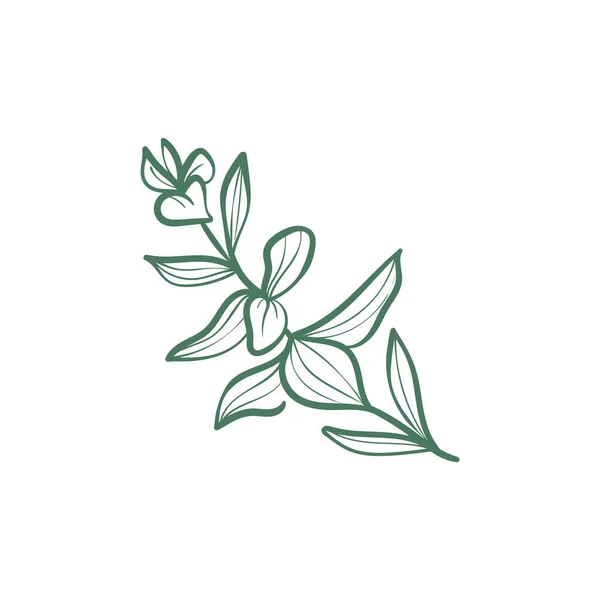 Εικονίδιο Doodle Λουλούδια Χειροποίητη Απεικόνιση Αφηρημένη Floral Βοτανική Διακόσμηση — Διανυσματικό Αρχείο