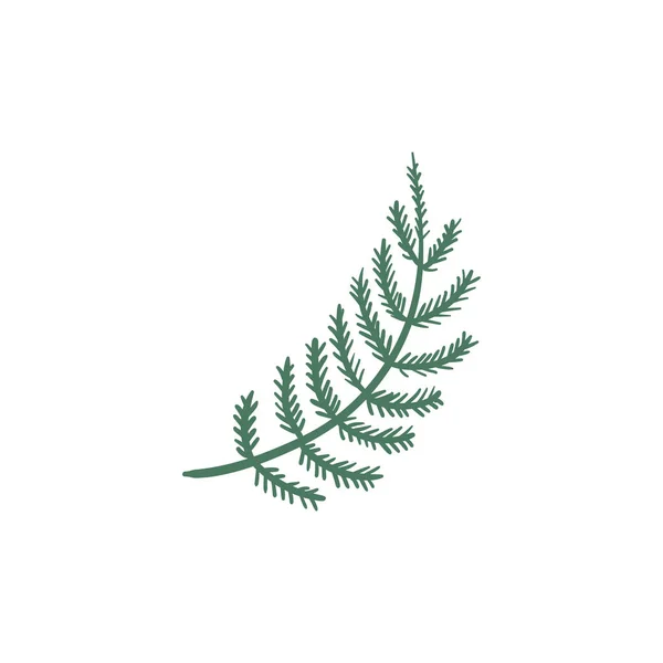 Icône Fleurs Caniche Illustration Dessinée Main Décor Floral Botanique Abstrait — Image vectorielle