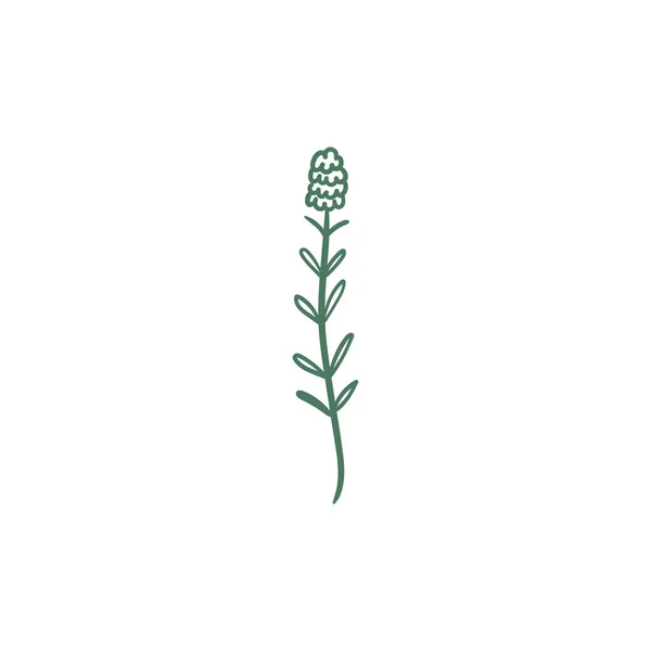 Icône Fleurs Caniche Illustration Dessinée Main Décor Floral Botanique Abstrait — Image vectorielle