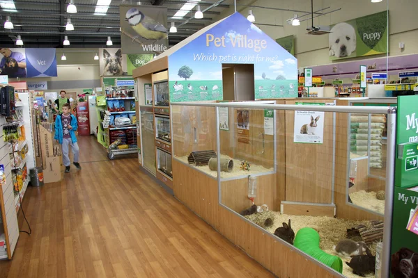 Produtos de estimação em um supermercado de animais de estimação . — Fotografia de Stock