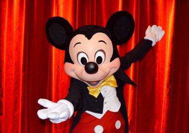 Disney mickey fare