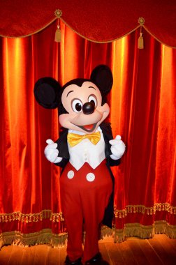 Disney mickey fare