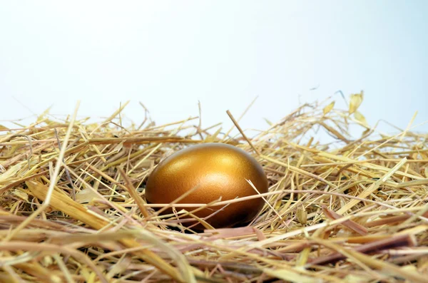 Złoty jaj w gnieździe — Zdjęcie stockowe