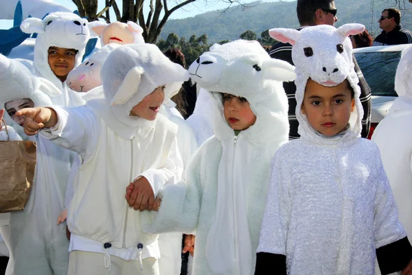 Carnaval Escolar — Fotografia de Stock