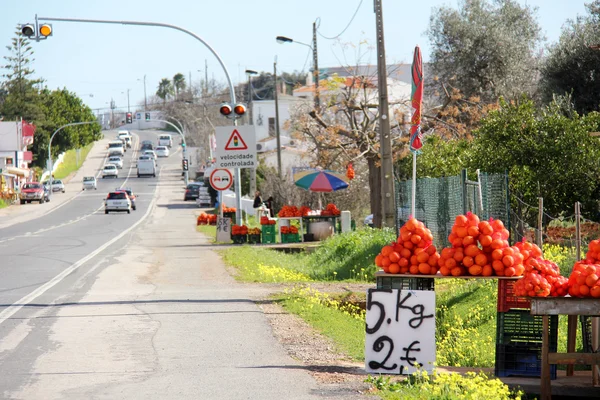 Orange och klementiner till salu — Stockfoto