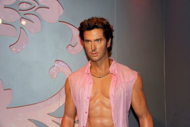 Hrithik rosham, vücut.