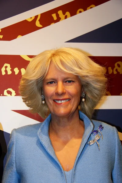 Camilla Parker Bowles — Stock Image Camilla Parker Bowles Stock Image