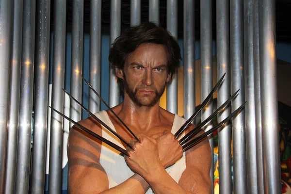 Wolverine — Stockfoto