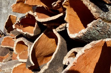 Cork kabuğu