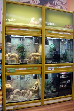 Reptile Display tanks in a pet store. clipart