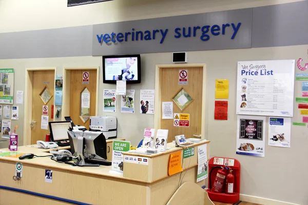 Veterinary surgery — Stock Photo, Image