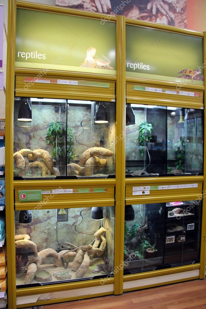 Reptile hotsell pet store