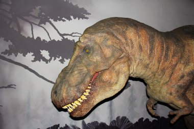 Tyrannosaurus rex