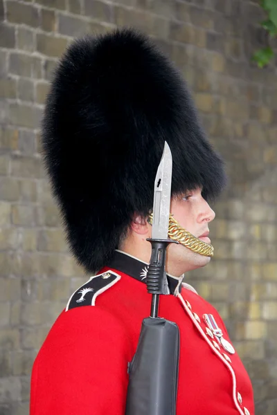 Королевская стража в Букингемском дворце — стоковое фото