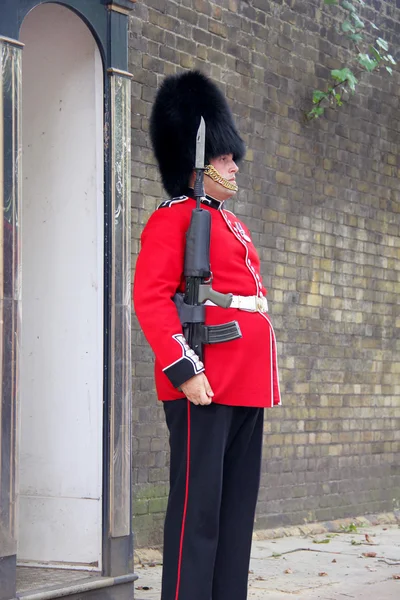 Guarda Real no Palácio de Buckingham — Fotografia de Stock