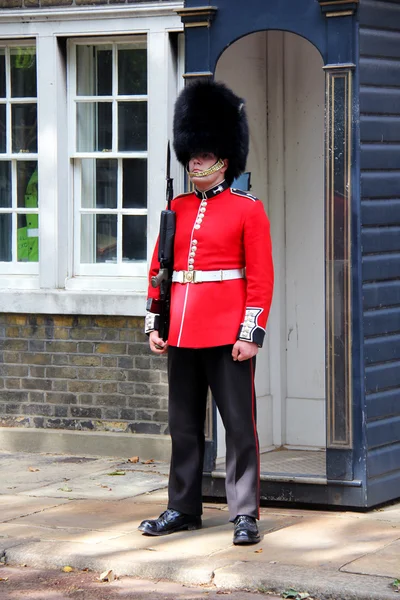 Pengawal kerajaan di istana Buckingham — Stok Foto