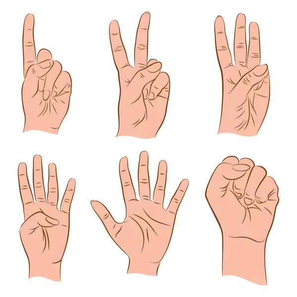 Número de conteo 1,2,3,4,5,0 — Vector de stock