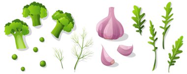 Düz yeşil sebze seti. Beyaz arka planda izole edilmiş taze organik sebzeler. Vejetaryen salatası için malzemeler. Organik tarım ürünleri. Doğal ve sağlıklı yiyecekler..