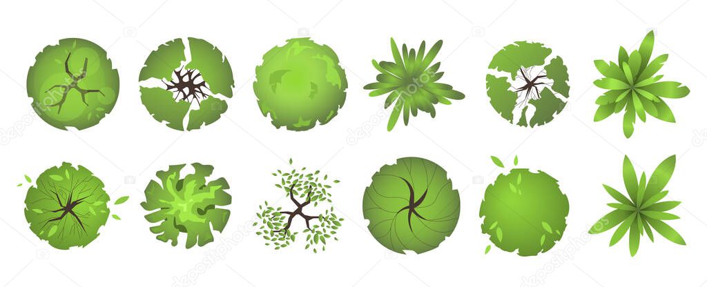 Trees top view. Different colored plants and trees vector set for architectural and landscape design. Graphic, isolated on white. Vector illustration. Elements for design projects. Green spaces.