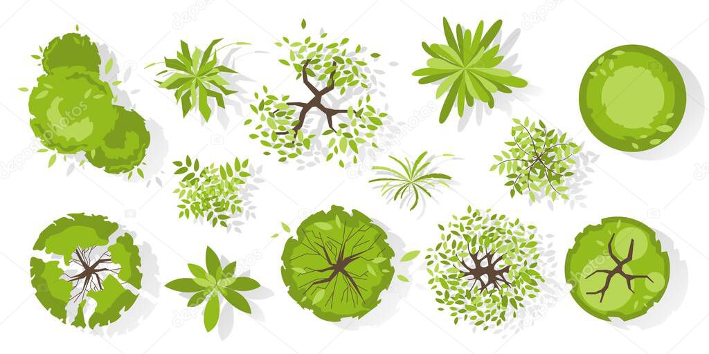 Trees top view. Different colored plants and trees vector set for architectural and landscape design. Graphic, isolated on white. Vector illustration. Elements for design projects. Green spaces.