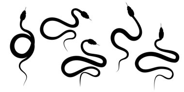 Yılan silueti koleksiyonu. Zehirli yılan, kobra yılanı çizimi izole edildi. Logo, çıkartma ve dövme için bir dizi tasarım elemanı. Minimalist göksel yılan simgesi seti. Vektör kiti