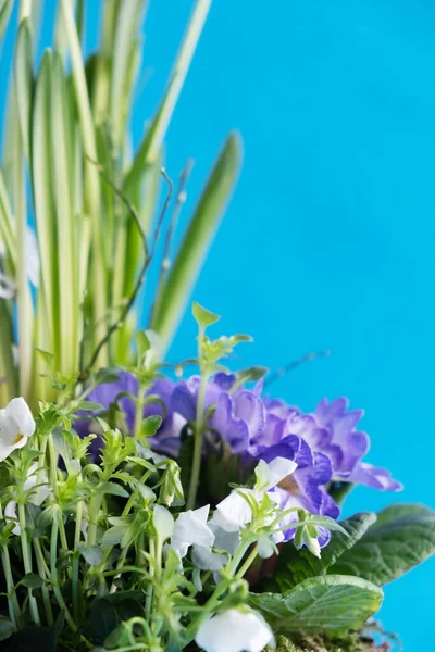 Nahaufnahme Eines Frühlingskorbs Mit Blühenden Blumen Geschenkkörbe Mit Blumen Arrangement — Stockfoto