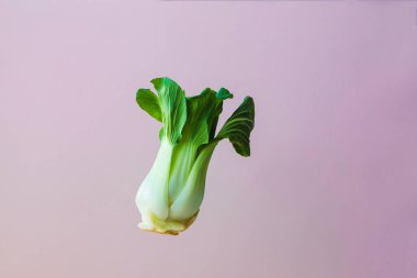 Organik uçuşlar, Çin lahanası pak choi 'nin pembe arka planda yükselmesi. Biyolojik sebzeler, metin için yer.
