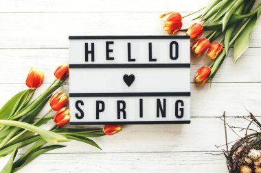 Bahar düzeni, düzlük ya da arka plan laleler ve yazıtlar. Beyaz ahşap zemin üzerinde bahar..