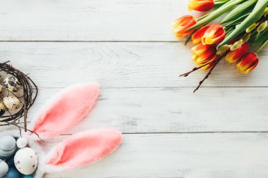 Paskalya, bahar dairesi renkli yumurtalar, kırmızı lale çiçekleri, tavşan kulakları ve beyaz ahşap arka planda söğüt dallarıyla yatıyordu. Boşluğu kopyala