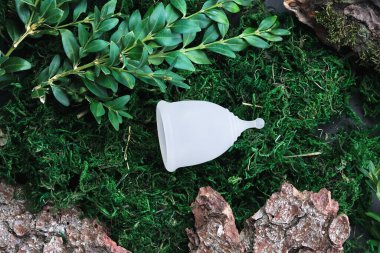 Doğal şartlarda regl kupası. Ürünlerin geri dönüşümü. Çevreyle ilgilenmek, alanı kopyalamak