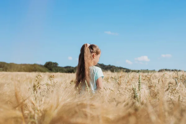 Rückansicht eines Mädchens in einem Feld mit Stacheln. Einheit mit der Natur, die Freude an der Natur. das Konzept der Freiheit, Einsamkeit, Entspannung — Stockfoto