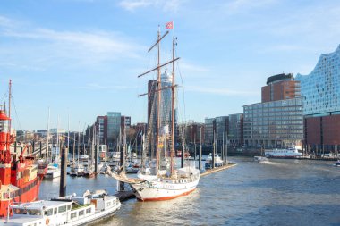 Liman, Hamburg Alman limanındaki konteyner terminali. Yükleme ve boşaltma için kargo gemileri demirli. Almanya, Hamburg - 17 Ocak 2020