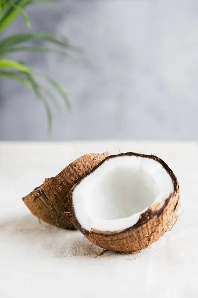 Eine Kokosnuss liegt auf einem hellen Hintergrund unter den Blättern von Palmen. Exotische Früchte. Urlaub und Reisen. Vertikales Foto — Stockfoto