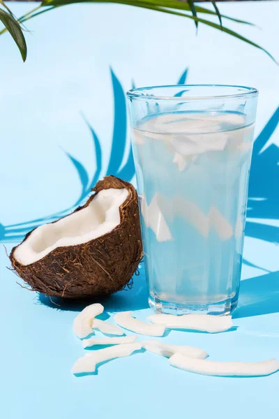 맑은 날에는 유리잔에 술잔을 넣고 야자나무 잎 아래푸른 배경에는 싱싱 한 코코넛 반쪽을 넣은 코코넛을 넣는다. 완벽 한 디톡스 주스 — 스톡 사진