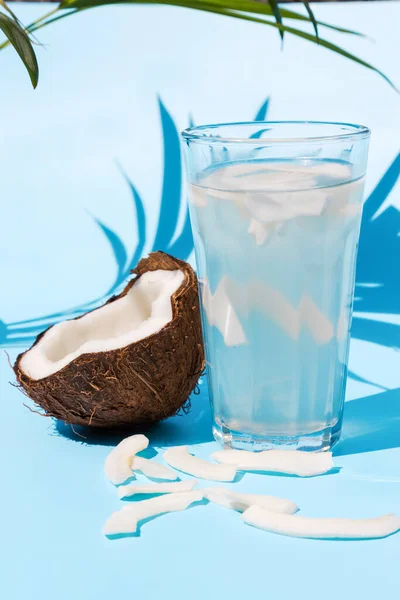 Kokoswasser in einem Glas mit einer Cocktailröhre und einer halben frischen Kokosnuss in der Nähe auf blauem Grund unter Palmenblättern an einem sonnigen Tag. Perfekter Entgiftungssaft — Stockfoto