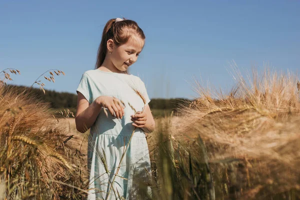 Ein niedliches blondes Mädchen steht in einem Feld aus goldenen Stacheln. Sommerferien, Glück und Freiheit, Einheit mit der Natur. Sommerstimmung — Stockfoto