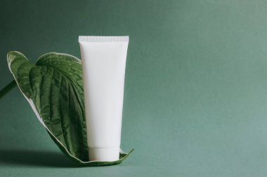 Beyaz krem tüpü yeşil arka planda yaprak üzerinde duruyor. Kozmetik konsepti 