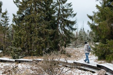 Tahta kaldırımda yürüyen bir adam. Kış ormanında hafif karla kaplı.