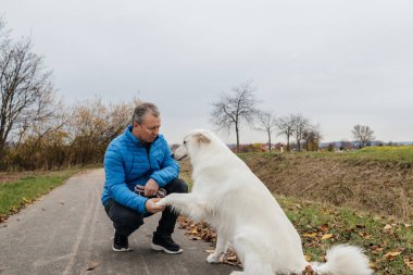 İnsan köpek eğitir, numaralar öğretir ve arkadaşlık kurar.