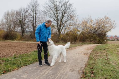 İnsan sonbaharda kırsal bir yolda köpeğiyle yürüyor ve bağ kuruyor.