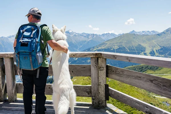 Sırt çantalı bir adam beyaz İsviçreli çoban köpeğini kucaklarken ahşap bir perspektiften nefes kesici dağ manzarasının keyfini çıkarıyor.