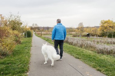 Man walking his white dog on a paved path in the countryside during autumn