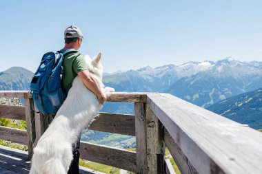 Sırt çantalı bir adam elinde berger Blanc Suisse köpeğiyle dağ manzarasına hayran.