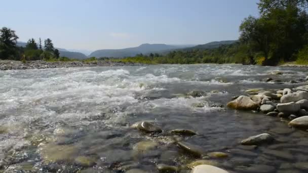 Río de la montaña en el Cáucaso — Vídeo de stock