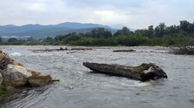 dağ nehir Laba Kafkasya'da