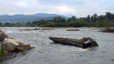 dağ nehir Laba Kafkasya'da