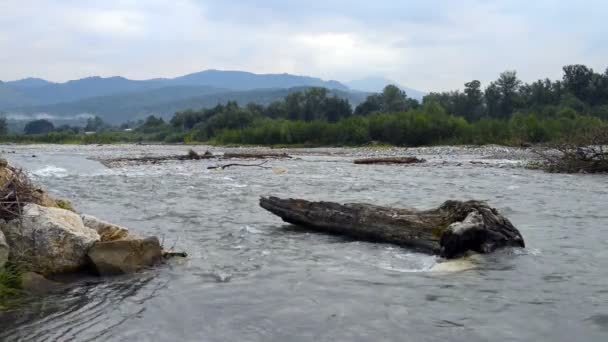 Горная река Лаба на Кавказе — стоковое видео