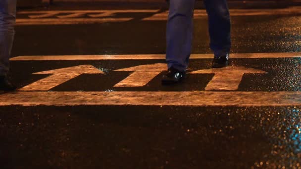 Les gens traversent la rue sur un passage piétonnier — Video